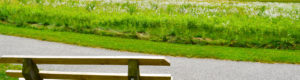 Frohring Meadows park
